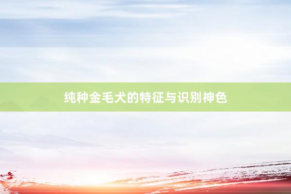 纯种金毛犬的特征与识别神色